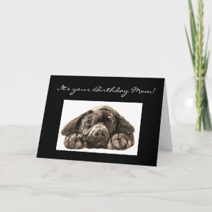 Funny Birthday Mamma, Ledsen Hund, Labrador Retrie Kort