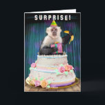 Funny Birthday Monkey Jumping Out of Cake Bananas Helgkort<br><div class="desc">Surprise! This funny birthday card shows a smiling Capuchin monkey popping out of a cake. It has a party hat on its head and a present and a banana in its hands. The inside text (which can be personalized) says, "I hope your birthday is absolutely bananas." This card is designed...</div>