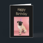 Funny Birthday Pug Dog Old Age Humor  Kort<br><div class="desc">Happy Birthday Cute watercolor Pug Dog laughs for those getting older</div>