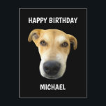 Funny Birthday Puppy Ansikte Personlig Vykort<br><div class="desc">Säg Grattis på födelsedagen med det här fantastiska födelsedagspendelkortet Hund Ansikte Personlig Postcard. Det är designat med en stor brun valp hund ansikte på framsidan. Bakgrunden är anpassade svart och hälsning är "grattis på födelsedagen" följt av namn i fet vit text. Du kan välja ett eget husfoto ansikte eller behålla...</div>