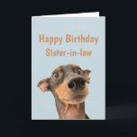 Funny Birthday Sister-in-law Shocken Hund Animal Kort<br><div class="desc">Ha så mycket roligt på din födelsedag att ditt sällskapsdjur blir orolig. Grattis på födelsedagen för sfärande syster med humoristisk vers inuti och chockad tittar hund</div>