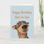 Funny Birthday Son-in-law Shocken Hund Animal Kort<br><div class="desc">Ha så mycket roligt på din födelsedag att ditt sällskapsdjur blir orolig.  Grattis på födelsedagen för svärson med humoristisk vers inuti och chockad tittar hund</div>