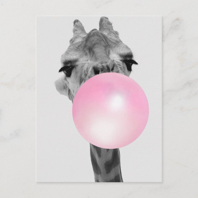 Funny Black and White Giraffe med Bubble Gum Vykort (Framsida)