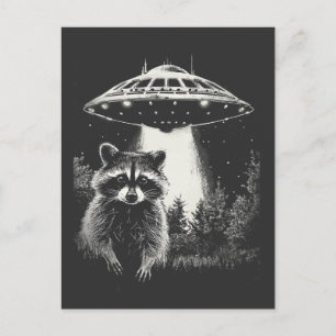 Funny Black and White Space Raccoon UFO Vykort