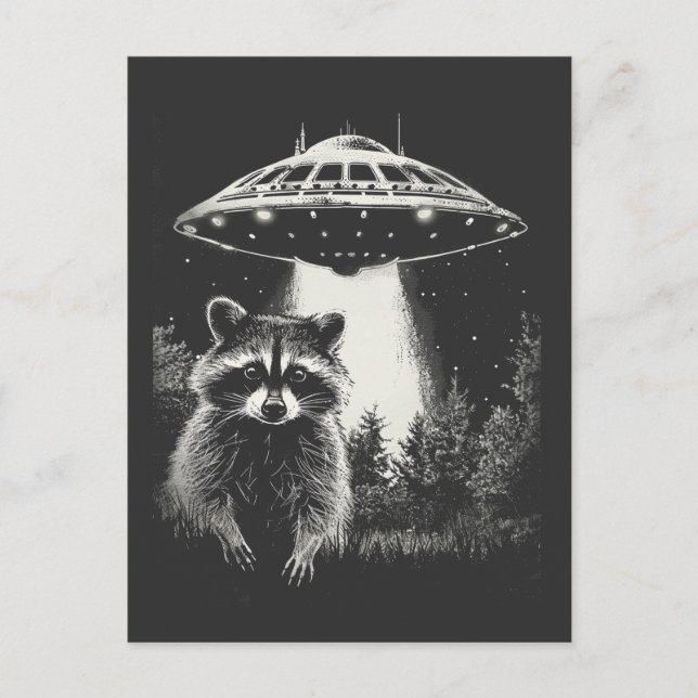 Funny Black and White Space Raccoon UFO Vykort (Framsida)