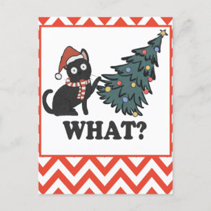 Funny Black Cat Julgran Vykort