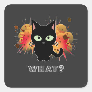 Funny Black Cat What Cute Kitten Älskare Pet Humo Fyrkantigt Klistermärke