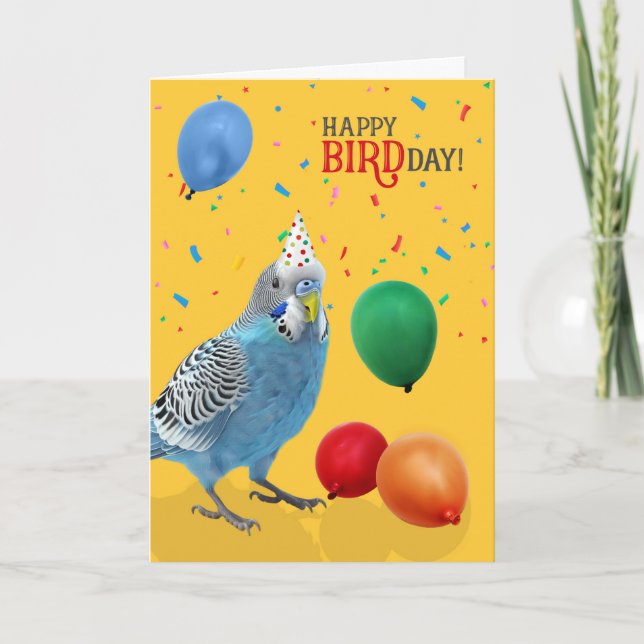 Funny Blue and White Budgie Parakeet Birthday Kort (Framsida)