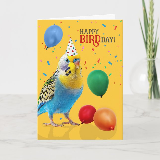 Funny Blue and Yellow Budgie Parakeet Birthday Kort (Framsida)
