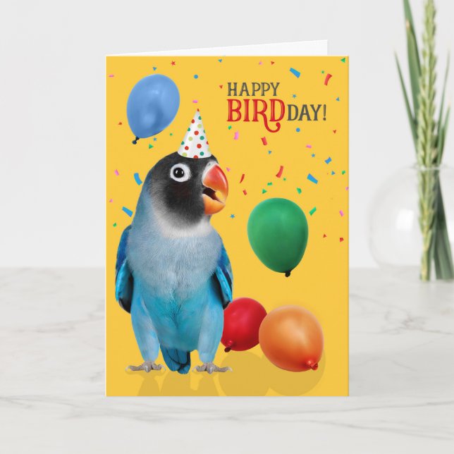 Funny Blue Lovebird Parrot Birthday Kort (Framsida)