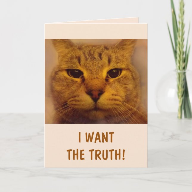 Funny Bossy Cat kommer bra Kort (Framsida)