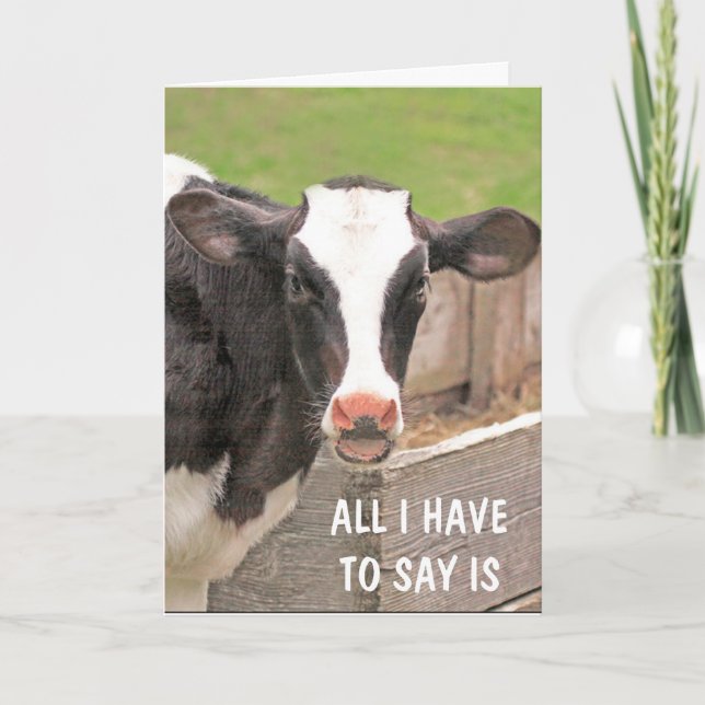 Funny Bossy Cow kommer bra Kort (Framsida)
