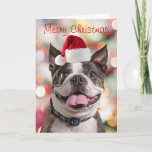 Funny Boston Terreir med Santa Hat Helgkort