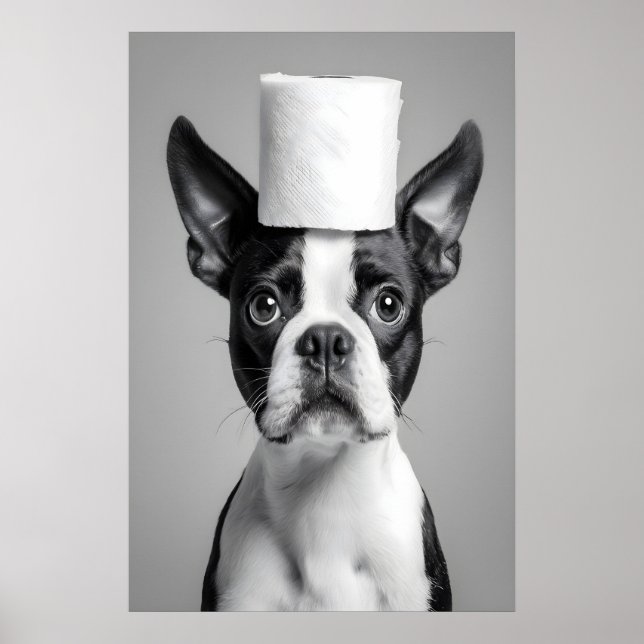 Funny Boston Terrier Bathroom Print, Toilet Paper Poster (Framsidan)