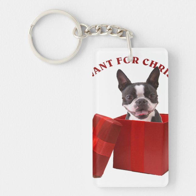 Funny Boston Terrier Gift for Djurälskare (Framsidan)