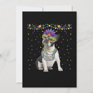 Funny Boston Terrier Wearing Carnival Mask Mardi Meddelande