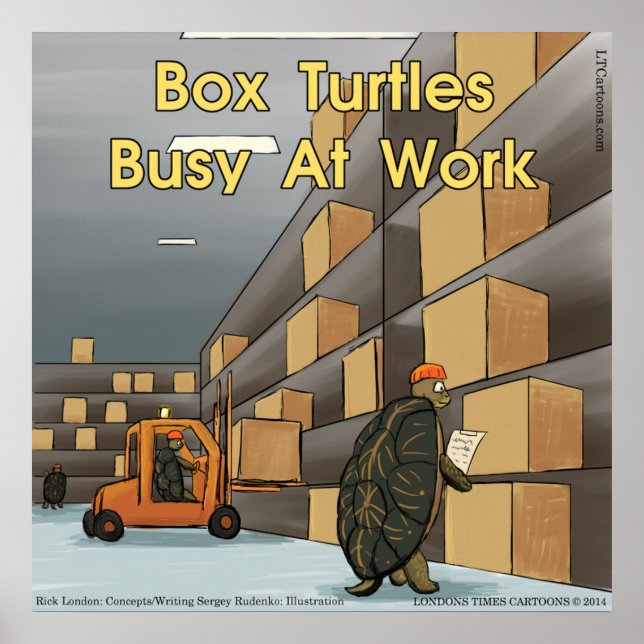 Funny Box Turtle Glossy Poster (Framsidan)