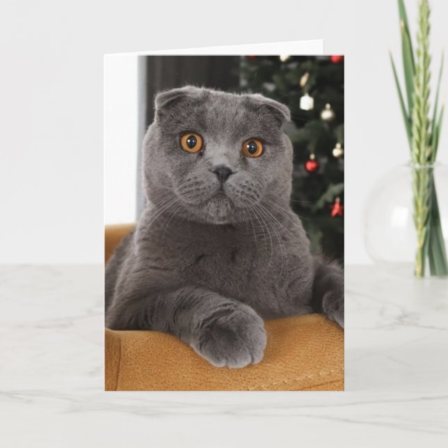 Funny British cat and christmas tree Kort (Framsida)