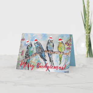 Funny Budgie Budgerigar God jul Card Kort