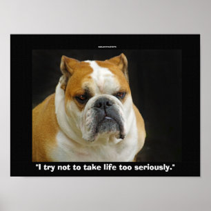 Funny Bull Dog Pet-älskare Demotivational Poster