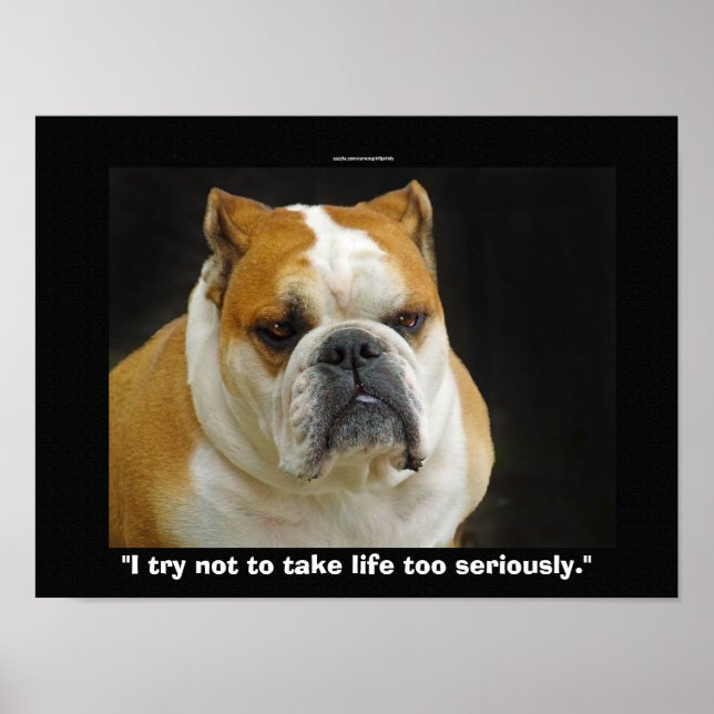 Funny Bull Dog Pet-älskare Demotivational Poster (Framsidan)