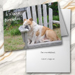 Funny Bulldog Birthday Kort<br><div class="desc">En tjock, sömnig bulldossar i en gammal trästol på gräsmatta framsida på det här roliga födelsedagskortet. Texten i vitt säger "Det är din födelsedag?". Insidan säger "jag är överväldigad" och sedan i mindre kursiv text: "Hoppas att det är en lycklig!" All text, både fram och in, är lätt att anpassa,...</div>