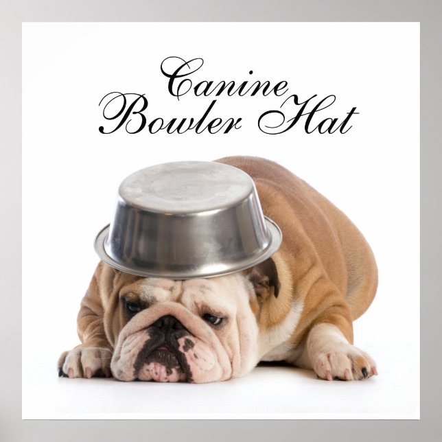 Funny Bulldog Mode - Poster - srf (Framsidan)