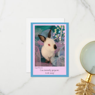 Funny Bunny Flat Greeting Card w/ Envelope Tack Kort
