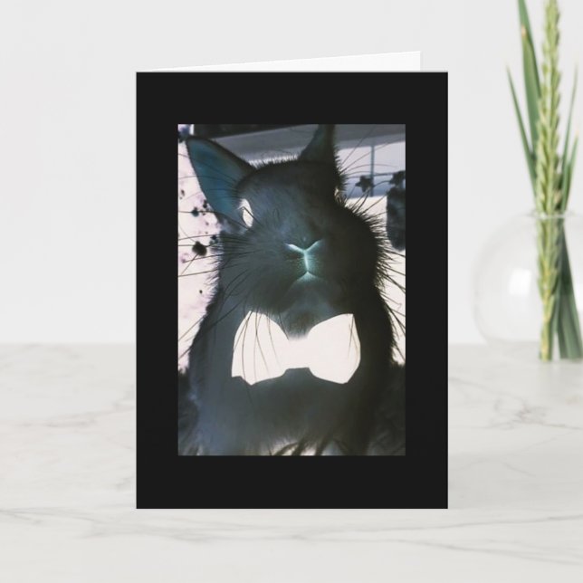 ***FUNNY BUNNY*** FUNNTIONKORT **PÅSK HÄLSNING** HELGKORT (Framsida)