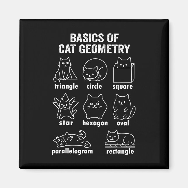 Funny Bysics Of Cat Geometry Byck To School Math T Magnet (Framsidan)