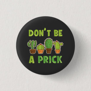 Funny Cacti Succults Indoor Cactus Plants Knapp