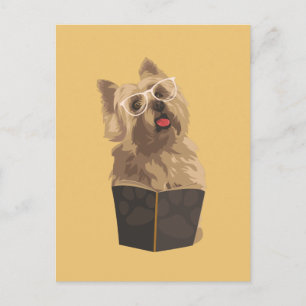 Funny Cairn Terrier-vykort för Hundälskare Vykort