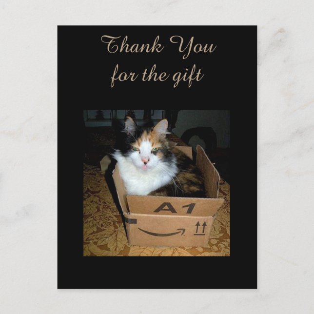 Funny Calico Cat in Box Tack Postcard Vykort (Framsida)