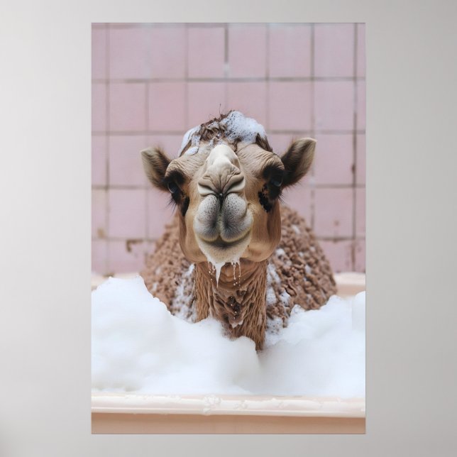 Funny Camel Bubble Bath Art, Whimsical Animal Poster (Framsidan)