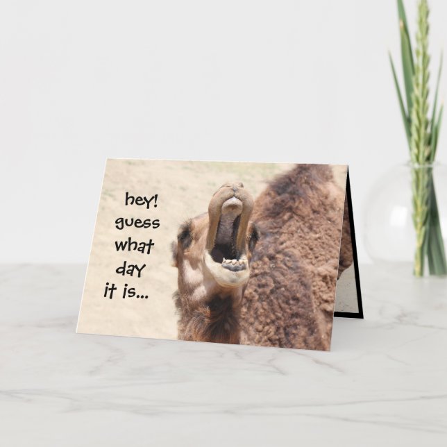Funny Camel Hump Day Birthday Card 2 Kort (Framsida)