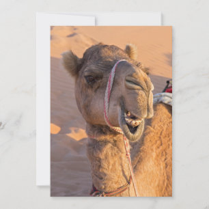 Funny Camel Inbjudningar