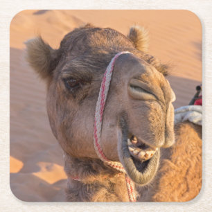 Funny Camel Underlägg Papper Kvadrat