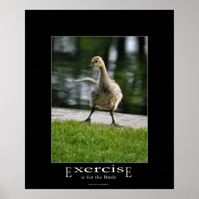 Funny Canada Goose Gosling Exercise Demotivational Poster (Framsidan)