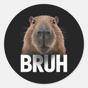Funny Capybara Bruh Runt Klistermärke