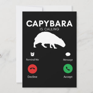 Funny Capybara Humous Capybaras Inbjudningar