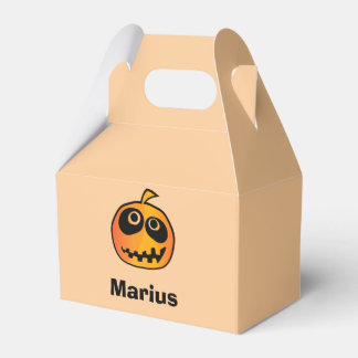 Funny Carved Orange Halloween Pumpkin Ansikte Namn Presentaskar