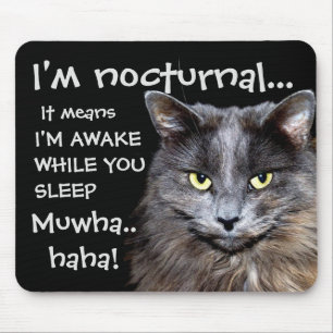 Funny Cat är NocTurn al Evil Laugh Musmatta