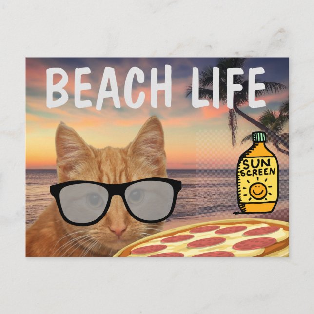FUNNY CAT BEACH LIFE POSTCARD VYKORT (Framsida)