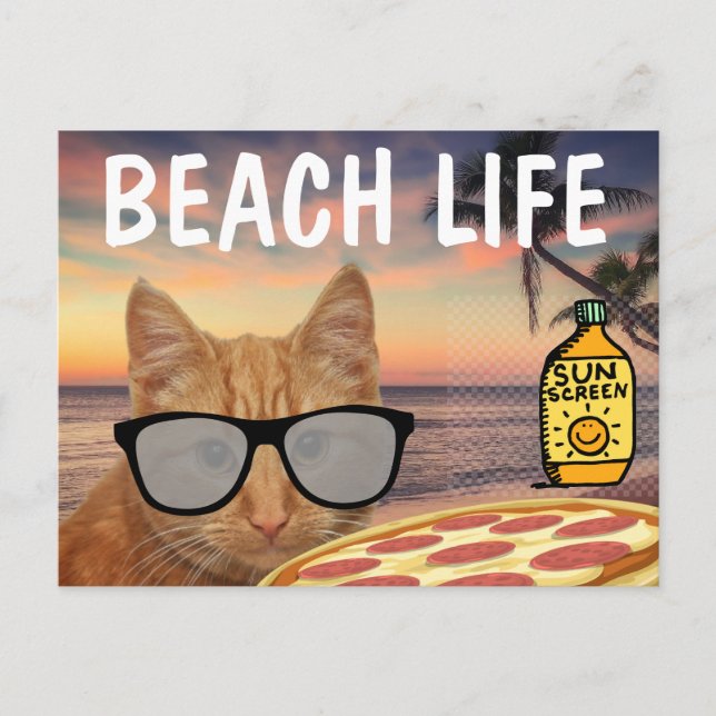 FUNNY CAT BEACH PIZZA POSTCARD VYKORT (Framsida)