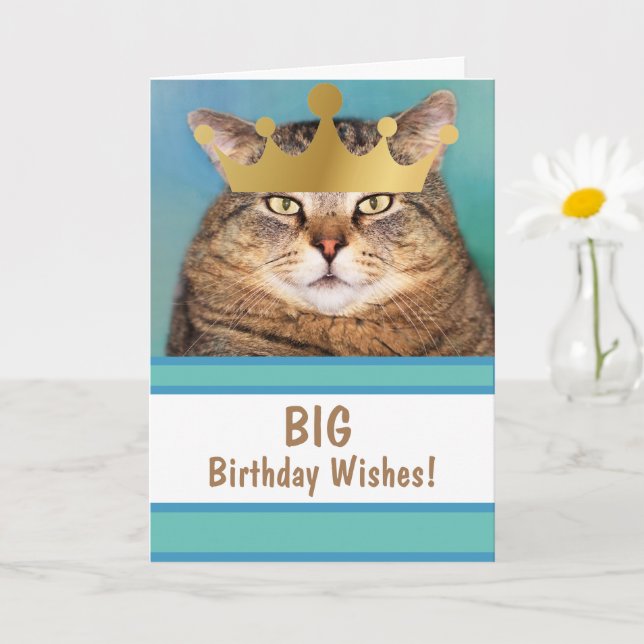 Funny Cat Big Birthday Önskemål Kort (Liten växt)