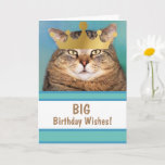 Funny Cat Big Birthday Önskemål Kort<br><div class="desc">Ingen får poängen som den här imponerande killen! Roligt kort för önskemål,  kung för en stor födelsedag. Tack för tittar! Photo ©Christine Greenspan. Licensierad bild av krona.</div>