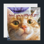 Funny Cat Birthday<br><div class="desc">Det här är Sprocket. Sprocket är mycket uttrycksfullt och när jag berättade för henne vad min ålder var, så är det det uttryck hon gjorde. Jag kunde fånga det här ögonblicket och jag tror att jag fångade vad hon försökte säga mig. Det gav mig ett sådant skratt! Jag hoppas att...</div>