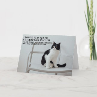Funny Cat Birthday Greeting Card Kort