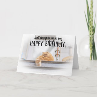 Funny Cat Birthday Greeting Card Kort