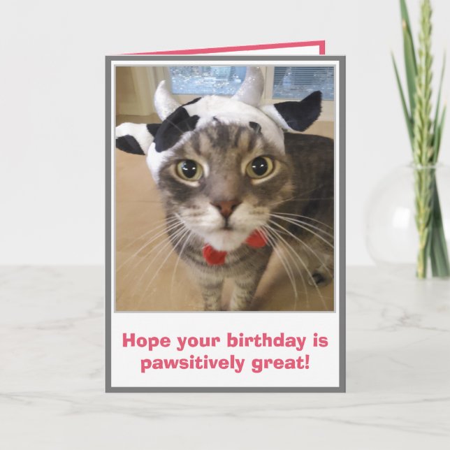 Funny Cat Birthday Kort (Framsida)